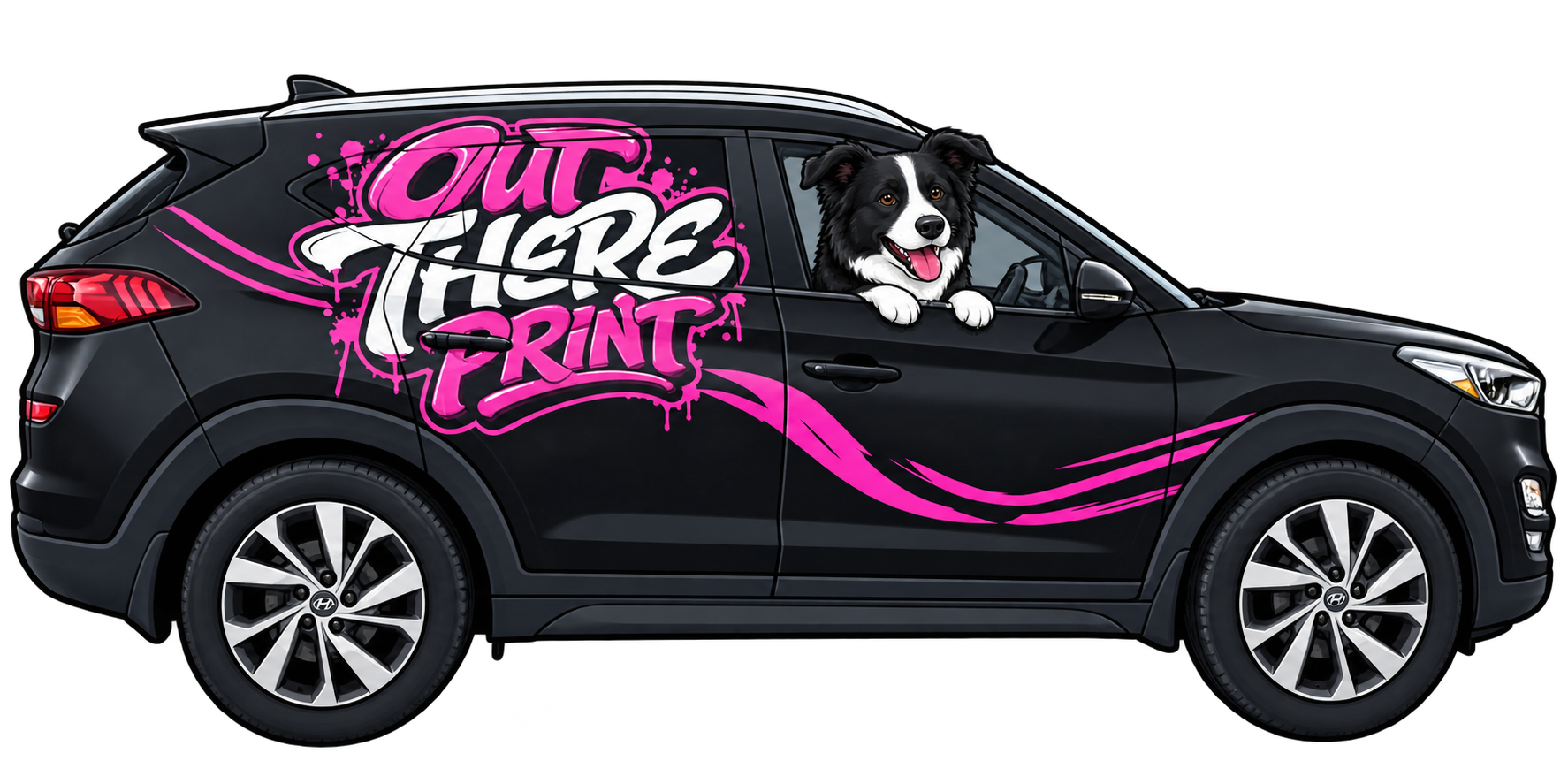Cooper the Border Collie riding in the Out There Print Tucson